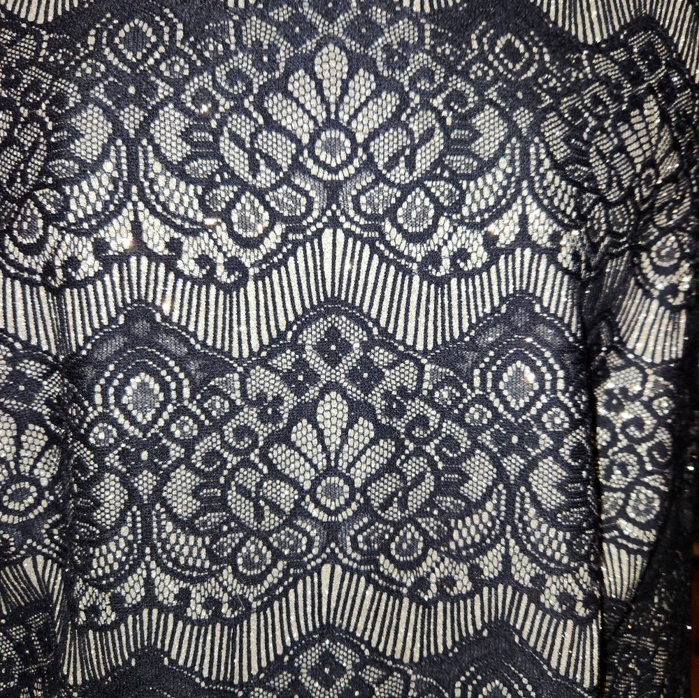 Jessica Howard Elegant Navy Blue  Shimmering Lace Sheath Dress From Macy's - Picture 2 of 16